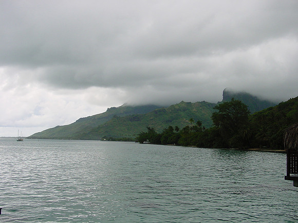 DSC01206