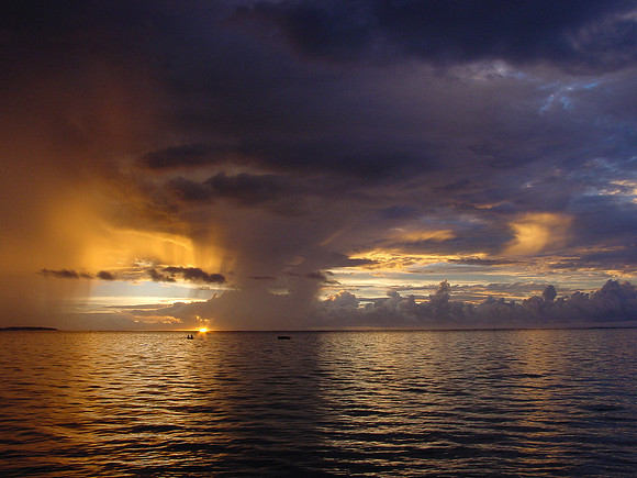 DSC01217