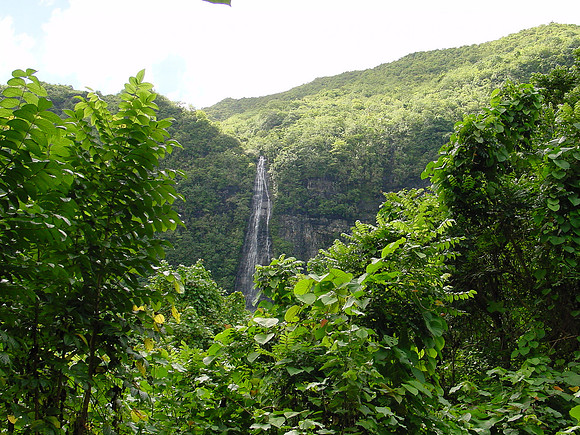 DSC01252