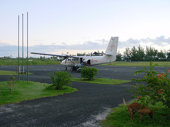DSC01318