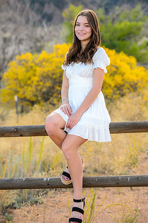 D52_9311_lr